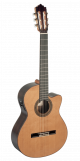 Paco Castillo Guitar 224CE 