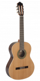Paco Castillo Guitar 201