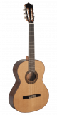 Paco Castillo Guitar 202