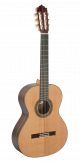 Paco Castillo Guitar 204