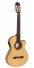 Paco Castillo Guitar 234TE