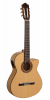Paco Castillo Guitar 223FTE 