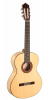Paco Castillo Guitar 213F
