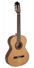 Paco Castillo Guitar 202