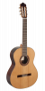Paco Castillo Guitar 203