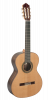 Paco Castillo Guitar 204