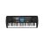 Ringway TB820 61 Keyboard