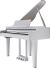 Roland GP-6-PW