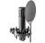 sE Electronics sE2200 Studio Condenser Microphone