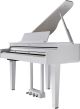 Roland GP-6-PW
