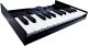 Roland K-25M
