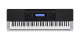 Casio WK-240K2