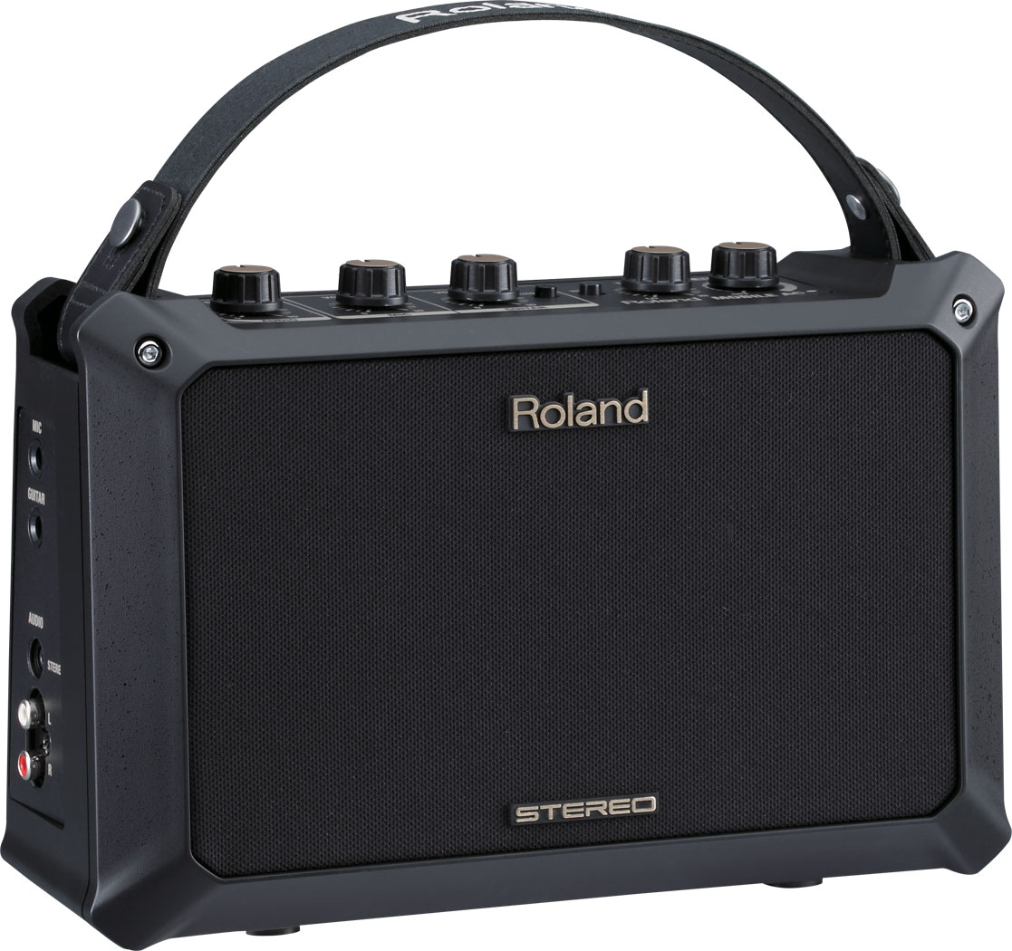 roland acoustic amplifier