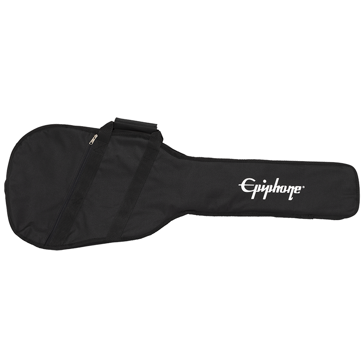 sg style guitar case